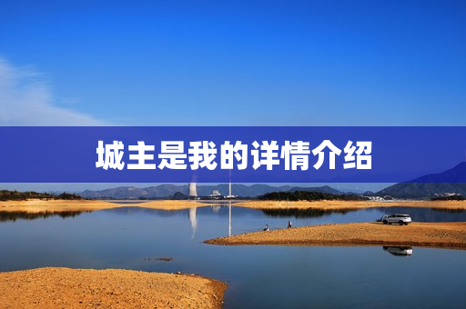 城主是我的详情介绍