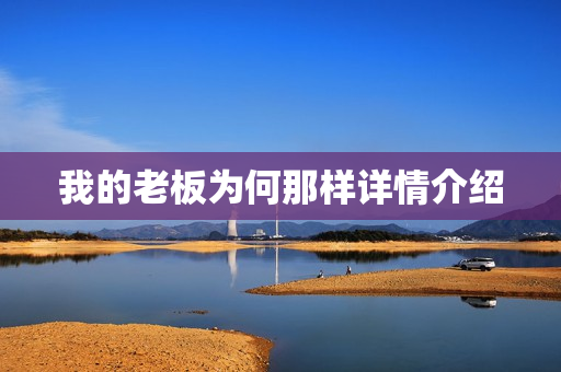 我的老板为何那样详情介绍