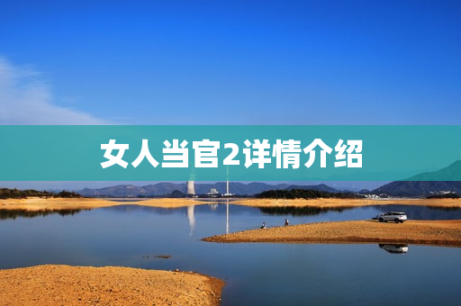 女人当官2详情介绍