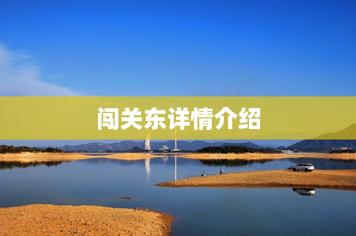 闯关东详情介绍