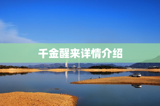 千金醒来详情介绍