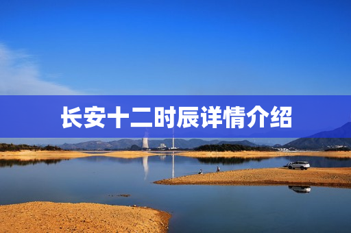 长安十二时辰详情介绍