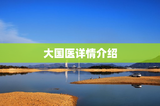 大国医详情介绍