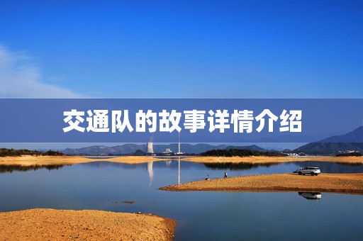 交通队的故事详情介绍