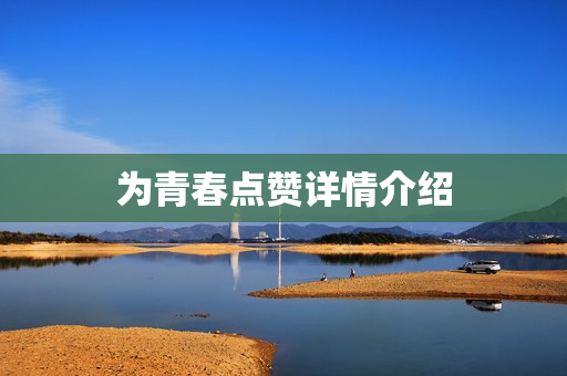 为青春点赞详情介绍