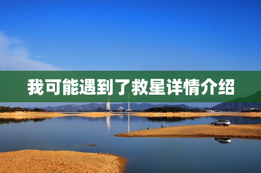 我可能遇到了救星详情介绍