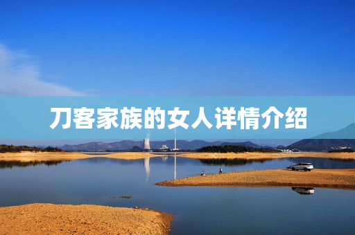 刀客家族的女人详情介绍