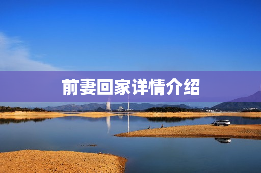 前妻回家详情介绍