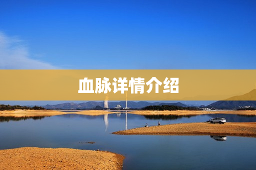 血脉详情介绍