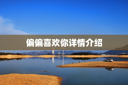 偏偏喜欢你详情介绍