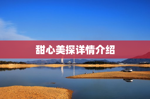 甜心美探详情介绍