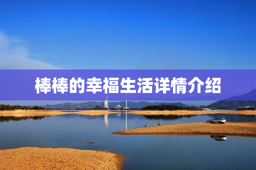 棒棒的幸福生活详情介绍