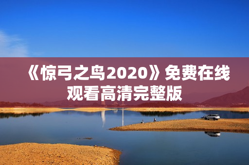 《惊弓之鸟2020》免费在线观看高清完整版