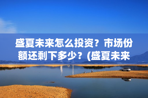 盛夏未来怎么投资？市场份额还剩下多少？(盛夏未来怎么投资)
