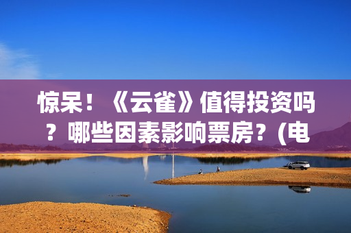 惊呆！《云雀》值得投资吗？哪些因素影响票房？(电影云雀)