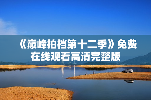 《巅峰拍档第十二季》免费在线观看高清完整版