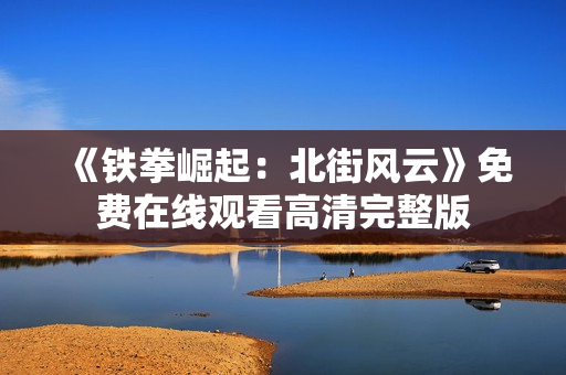 《铁拳崛起：北街风云》免费在线观看高清完整版