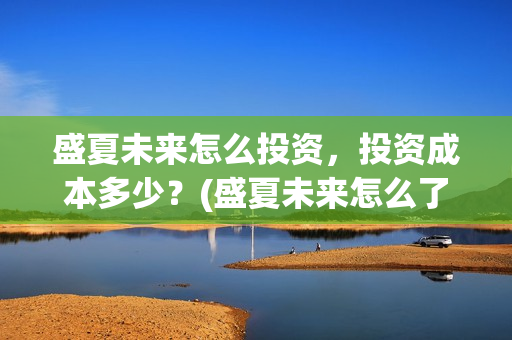 盛夏未来怎么投资，投资成本多少？(盛夏未来怎么了)