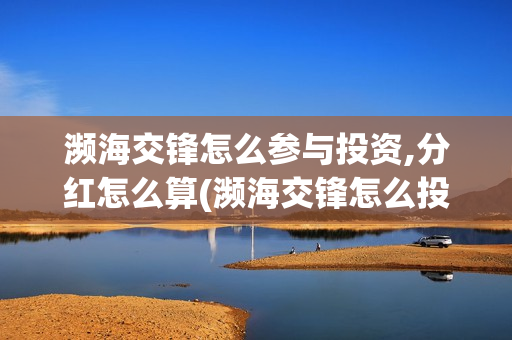 濒海交锋怎么参与投资,分红怎么算(濒海交锋怎么投)