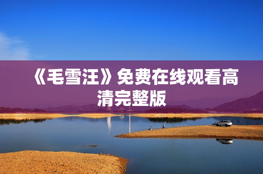 《毛雪汪》免费在线观看高清完整版