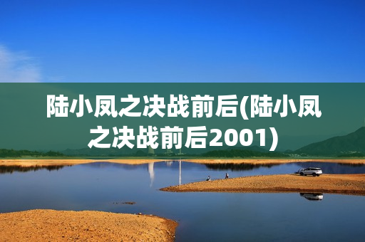 陆小凤之决战前后(陆小凤之决战前后2001)