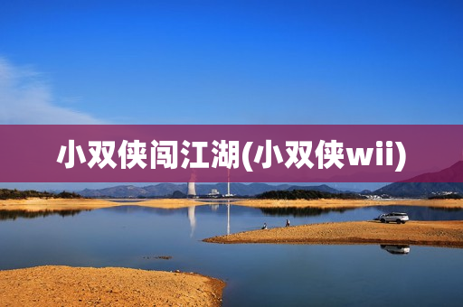 小双侠闯江湖(小双侠wii)