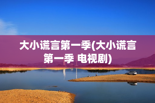 大小谎言第一季(大小谎言第一季 电视剧)