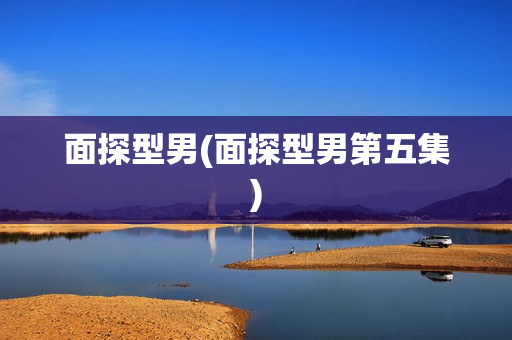 面探型男(面探型男第五集)