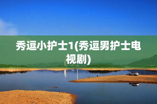 秀逗小护士1(秀逗男护士电视剧)