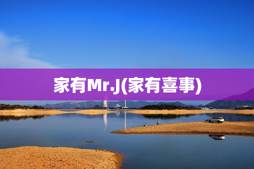 家有Mr.J(家有喜事)
