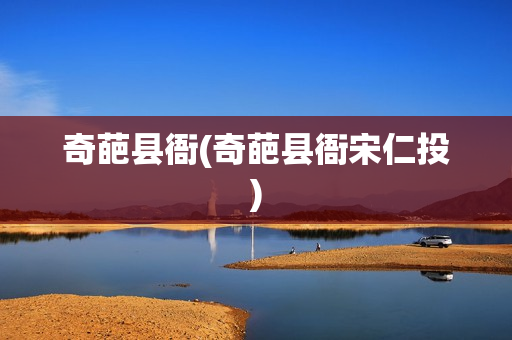 奇葩县衙(奇葩县衙宋仁投)