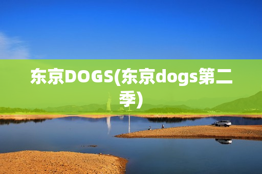 东京DOGS(东京dogs第二季)