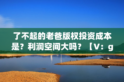 了不起的老爸版权投资成本是？利润空间大吗？【V：grey121415】(了不起的老爸ts版)