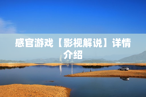 感官游戏【影视解说】详情介绍