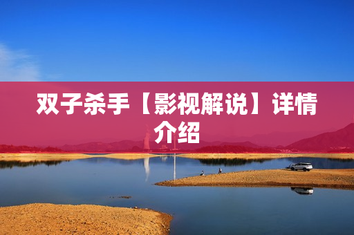 双子杀手【影视解说】详情介绍