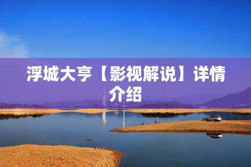 浮城大亨【影视解说】详情介绍