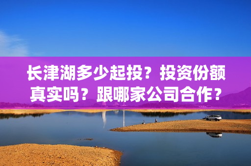 长津湖多少起投？投资份额真实吗？跟哪家公司合作？(长津湖耗资)