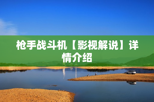 枪手战斗机【影视解说】详情介绍 枪手战斗机【影视解说】详情介绍