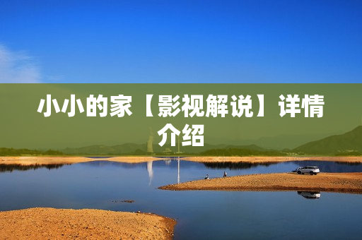 小小的家【影视解说】详情介绍