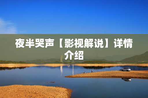 夜半哭声【影视解说】详情介绍