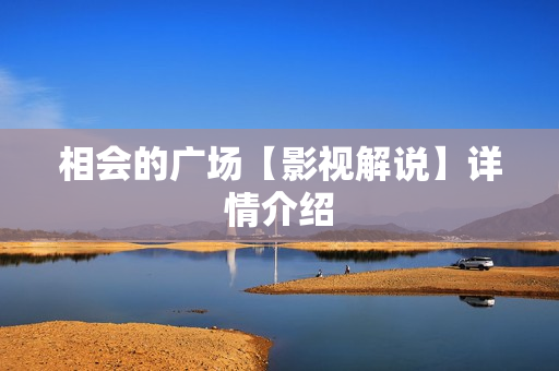 相会的广场【影视解说】详情介绍