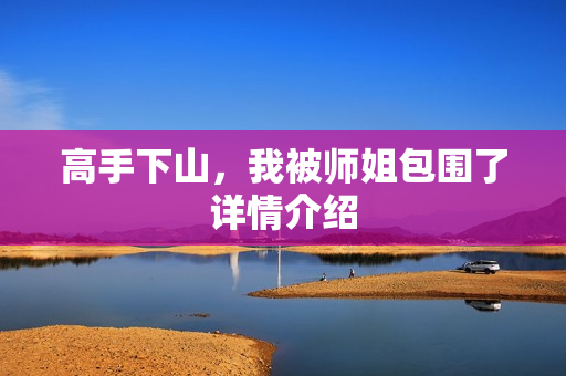 高手下山，我被师姐包围了详情介绍