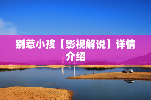 别惹小孩【影视解说】详情介绍