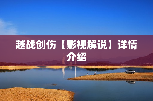 越战创伤【影视解说】详情介绍