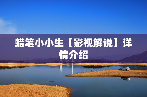 蜡笔小小生【影视解说】详情介绍