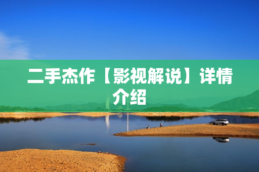 二手杰作【影视解说】详情介绍 二手杰作【影视解说】详情介绍