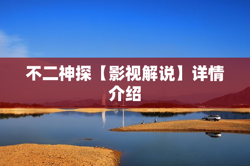 不二神探【影视解说】详情介绍