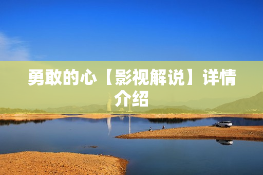 勇敢的心【影视解说】详情介绍