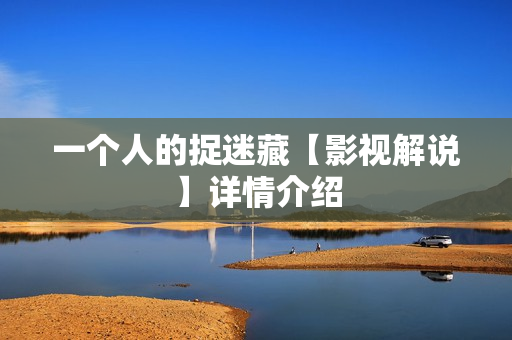 一个人的捉迷藏【影视解说】详情介绍