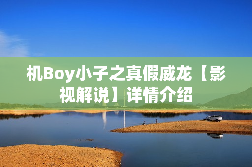 机Boy小子之真假威龙【影视解说】详情介绍